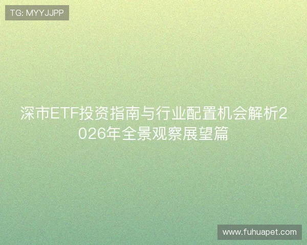 深市ETF投资指南与行业配置机会解析2026年全景观察展望篇